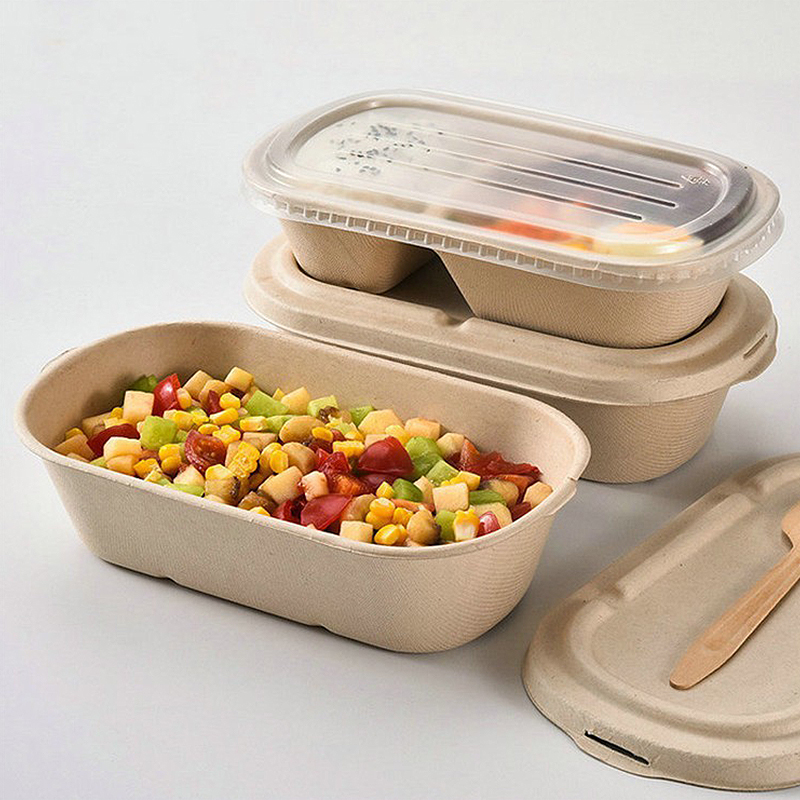 Salad Container Jar - 10/50 Stück Einweg-Takeaway-Boxen, Lunchboxen, leichte Salatbehälter,