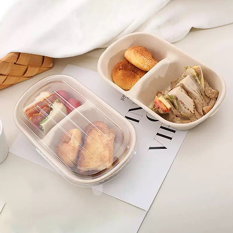 10/50 Stück Einweg-Takeaway-Bo – Salad Container Jar Bewertung und Preis