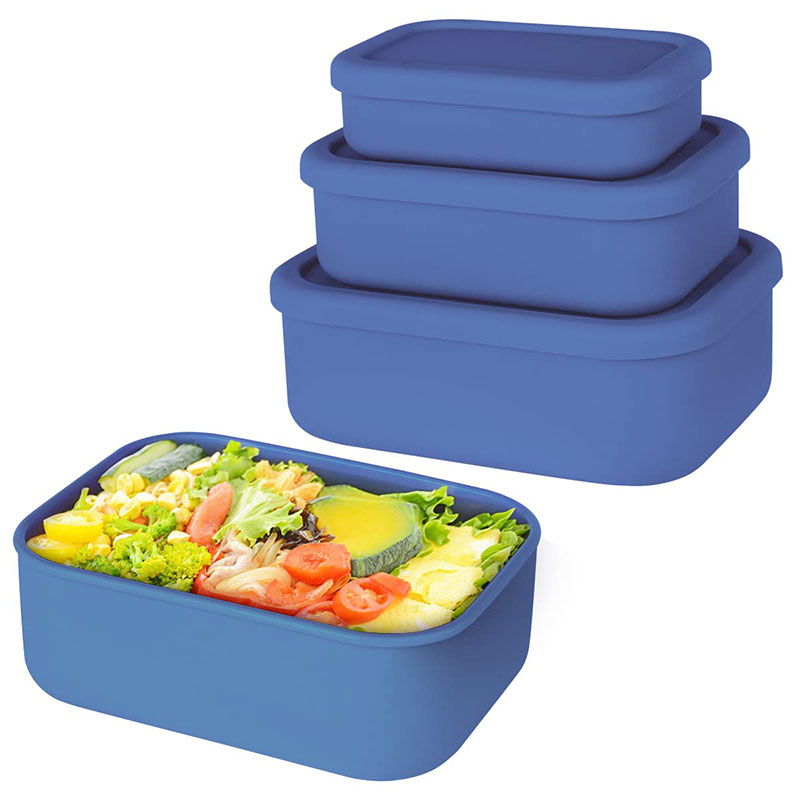 Auslaufsichere Bento-Lunchbox, – Meal Prep Kits Bewertung und Preis
